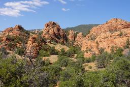 Contorted crossbedding [sun aug 31 15:01:25 mdt 2025]
